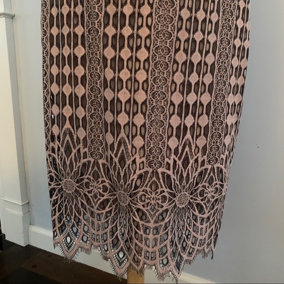 BCBG MaxAzria blush & black lace dress NEW nude - Picture 6 of 16